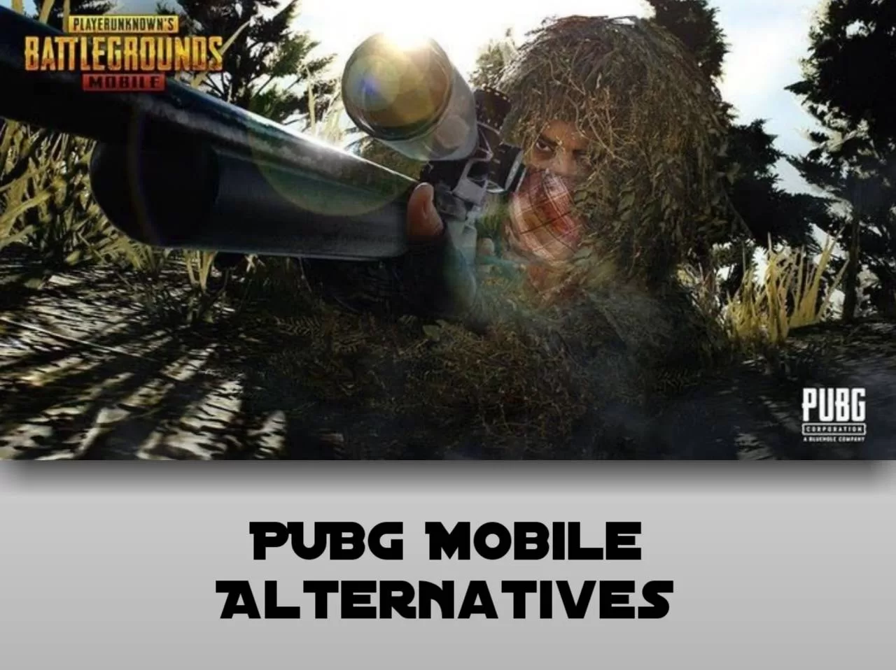 PUBG Mobile Alternatives